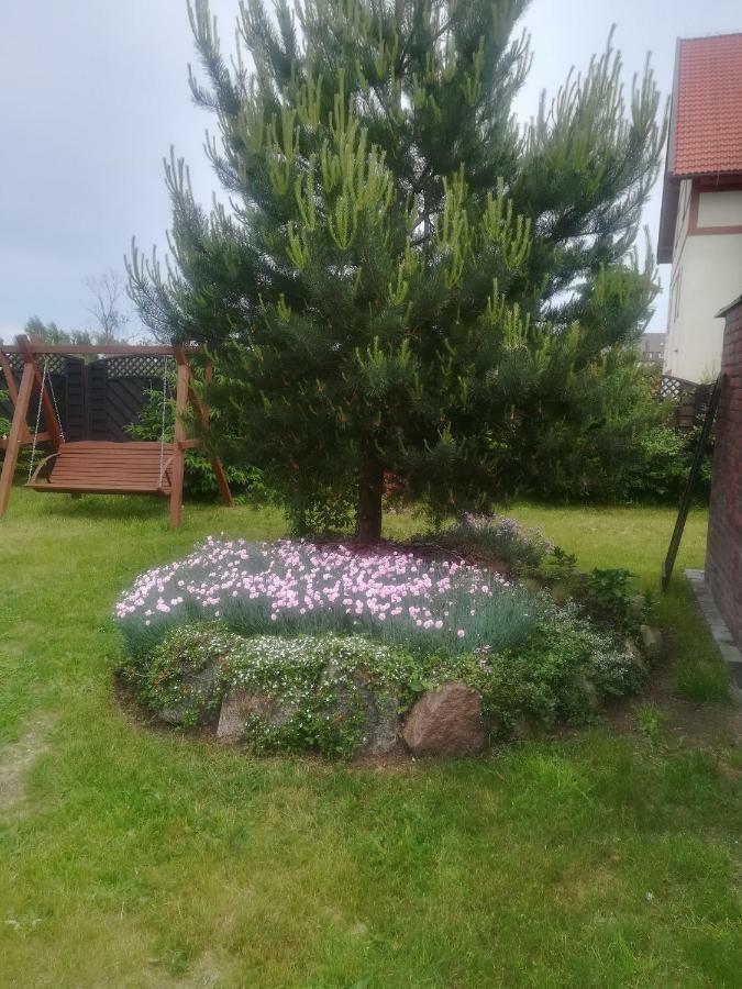 Apartamenty I Domki Mierzeja Sztutowo Extérieur photo
